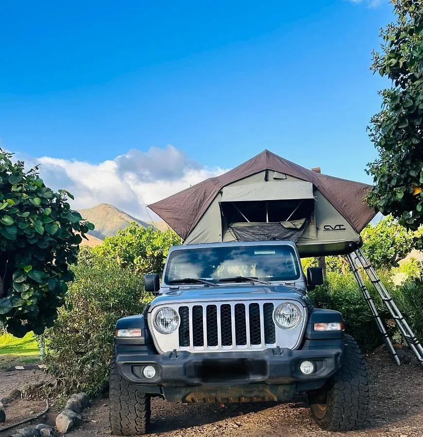 Aloha Glamp's Jeep Adventure: Rooftop Camping Across Maui Paia