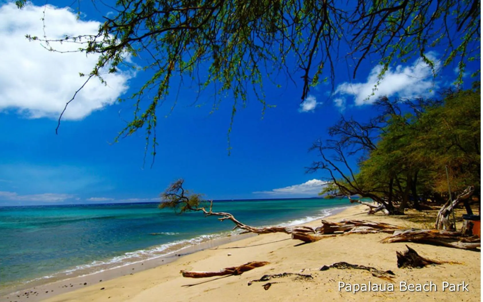 Aloha Glamp's Jeep Adventure: Rooftop Camping Across Maui Paia United States